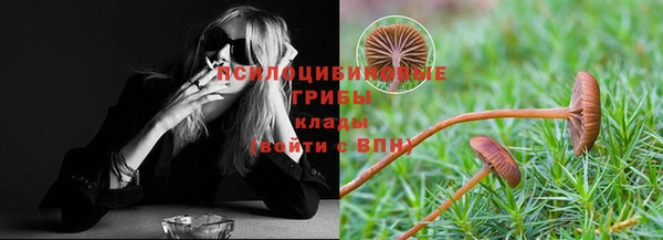 соль ск Белокуриха