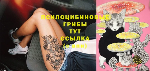 соль ск Белокуриха
