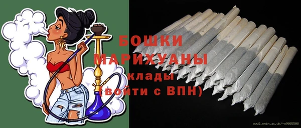 соль ск Белокуриха