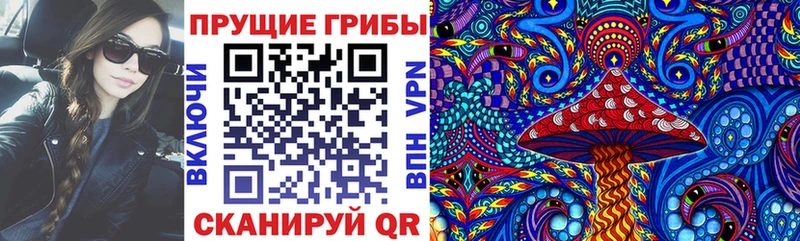 Псилоцибиновые грибы мицелий  Богородск 
